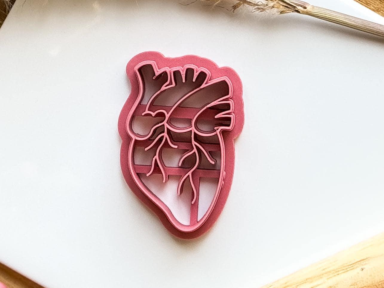 Anatomical Heart Clay Cutter - Fabled Cutters