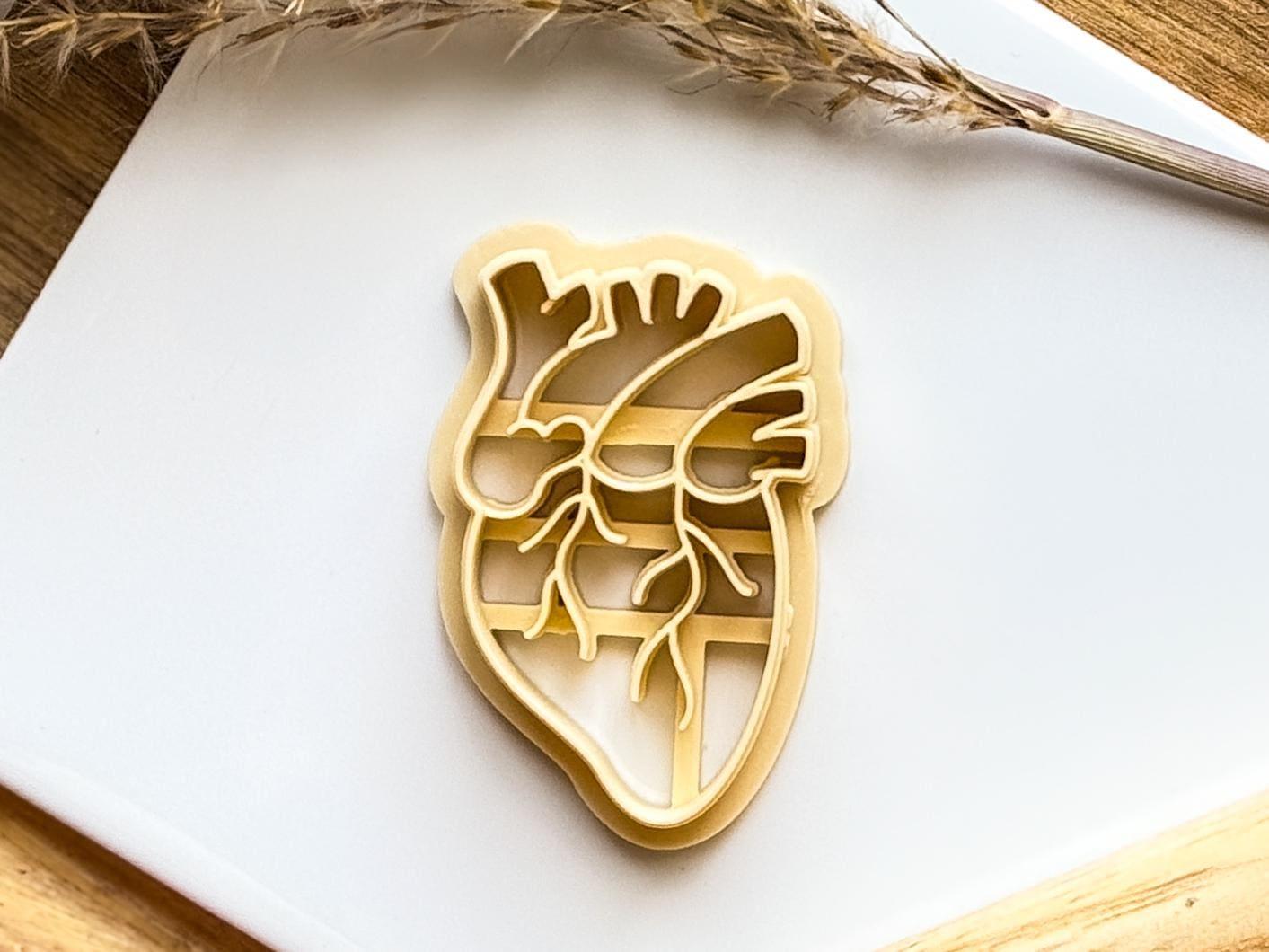 Anatomical Heart Clay Cutter - Fabled Cutters