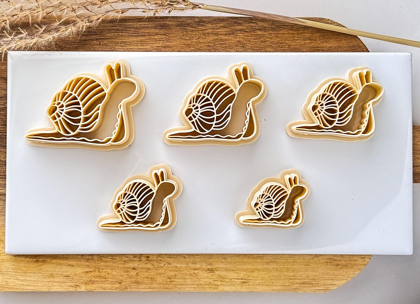 Group of beige african snail clay cutters on a tile