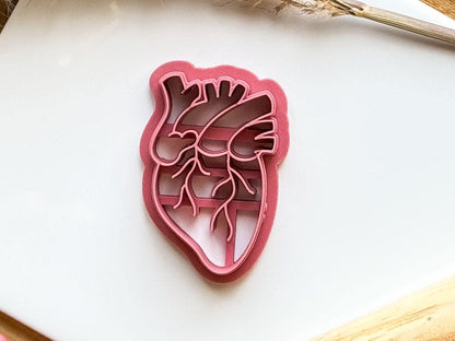 Anatomical Heart Clay Cutter - Fabled Cutters