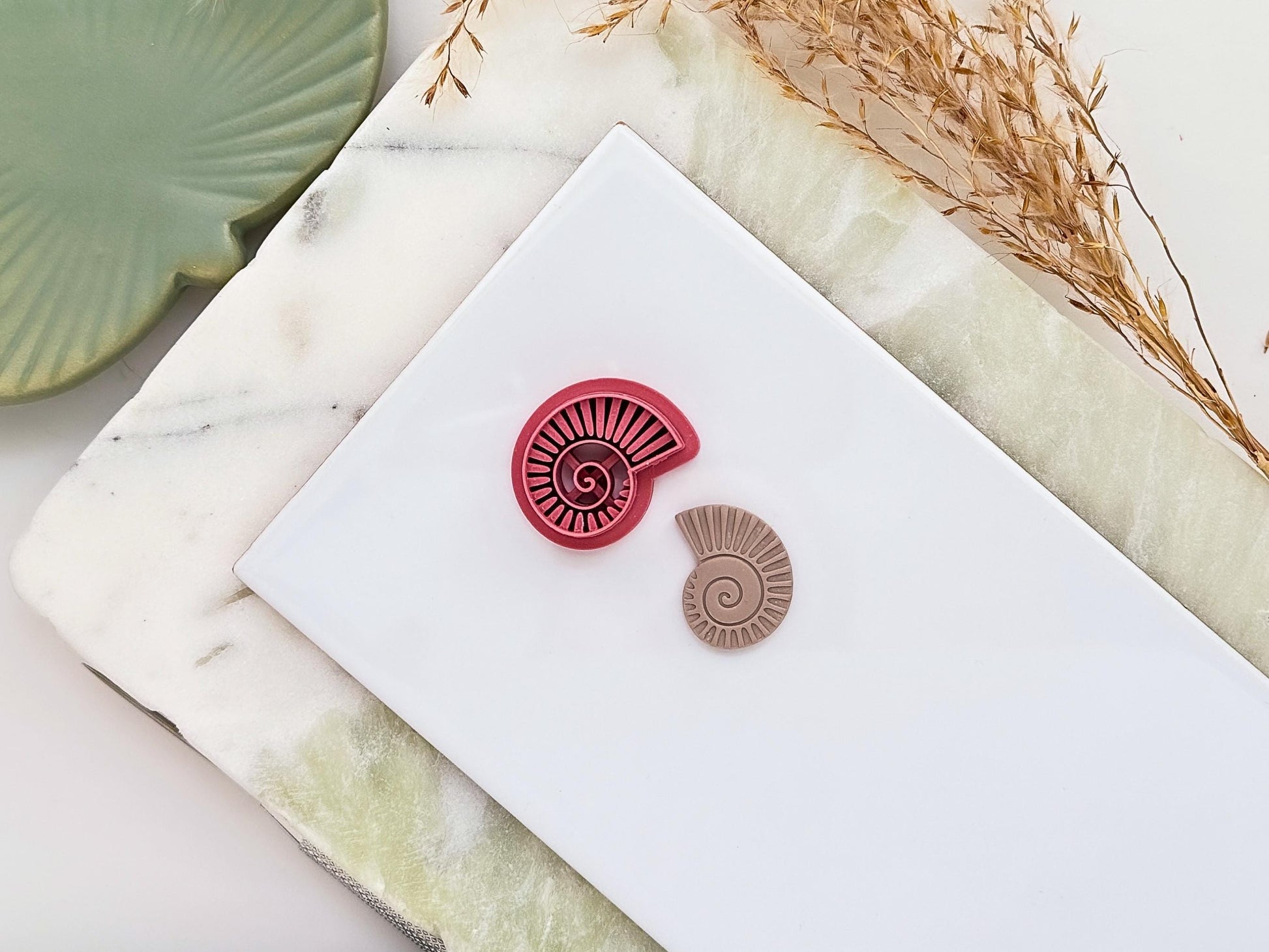 Fossilised seashell-shaped polymer clay cutter with detailed embossing shaped and lines for creating realistic clay cut-outs. Next to the cutter is a taupe coloured polymer clay sample displaying the stamp patterns. Both are on a white and green marbled background.