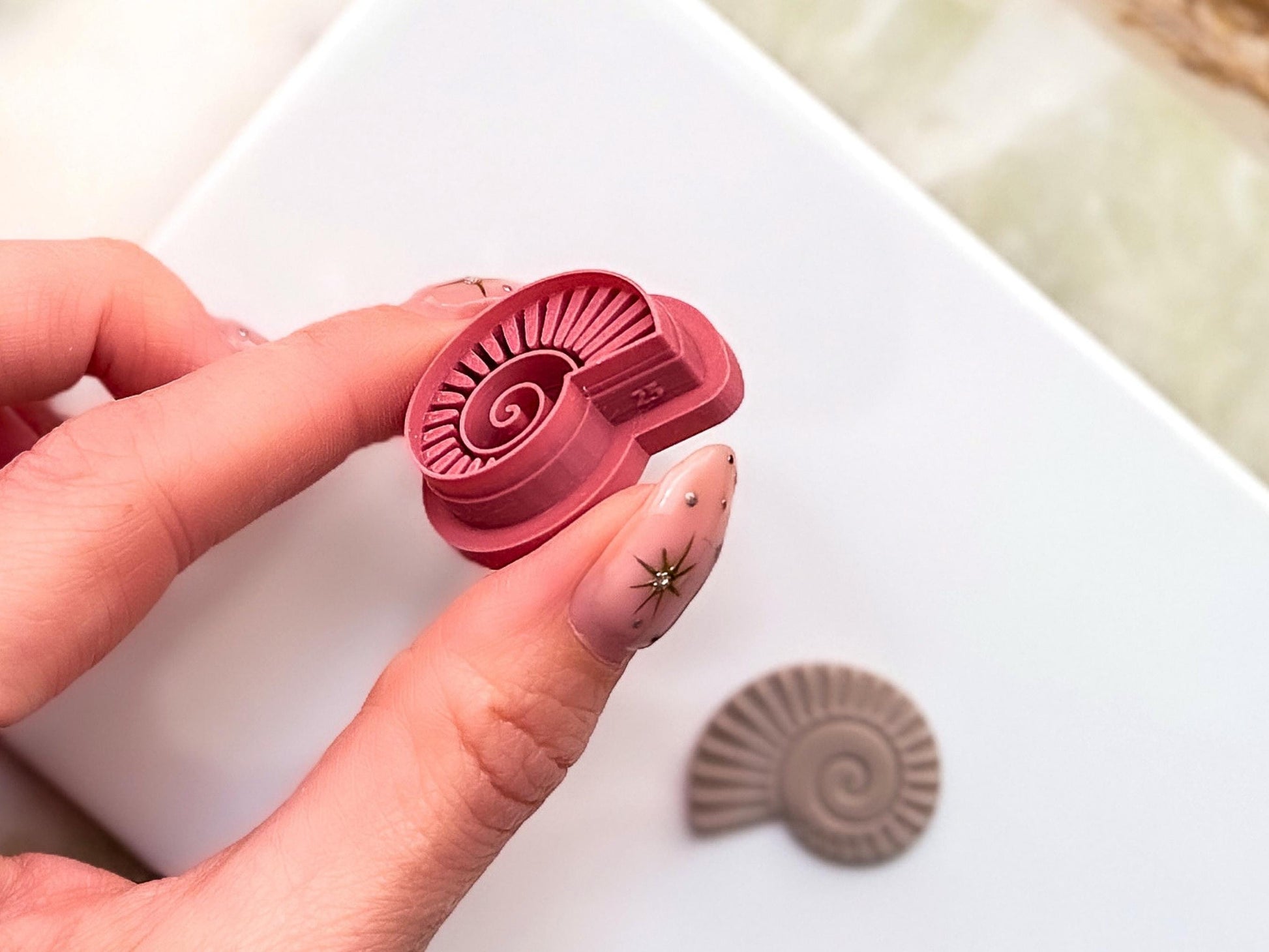 Side view of fossilised seashell shaped clay cutter, this view shows the sharp cutting edge and embossed detail height.