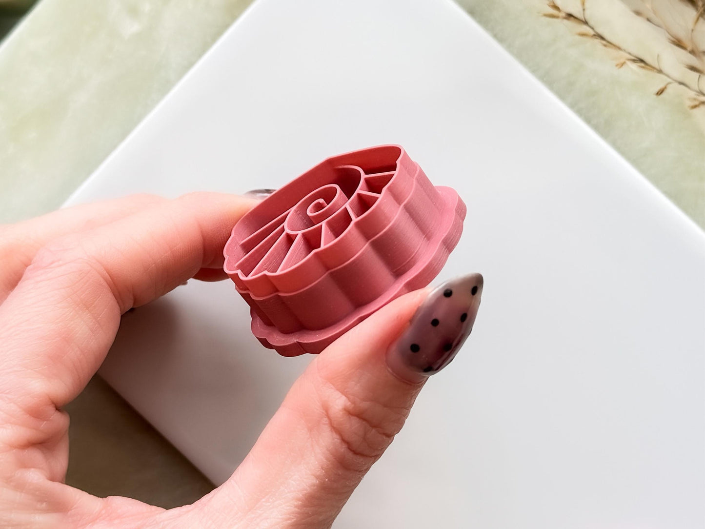Close up side-view of a shell shaped cutter for polymer clay and fondant. The sharp cutting edge is clearly displayed.